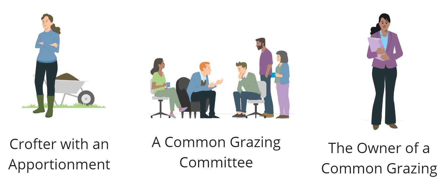 Graphic showing two individuals and a small group with text saying Crofters with an apportionment, Grazings Committees or Owner(s) of a common grazings